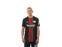 bundesliga clap Sticker by Bayer 04 Leverkusen