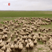 Friends Go GIF by TRT