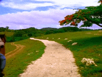 Music Video Mv GIF by Buju Banton