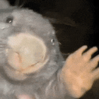 Picking Up GIF