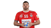 Handball_Austria tobias wagner aut ohb Sticker