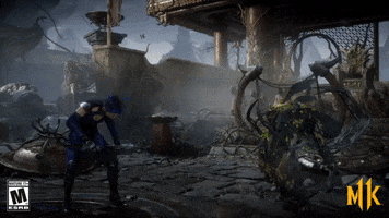 mk GIF by Mortal Kombat 11