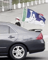 Los Angeles Dog GIF by SWAGGY WOLFDOG