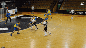Celebrate Czech Republic GIF by HCB Karviná
