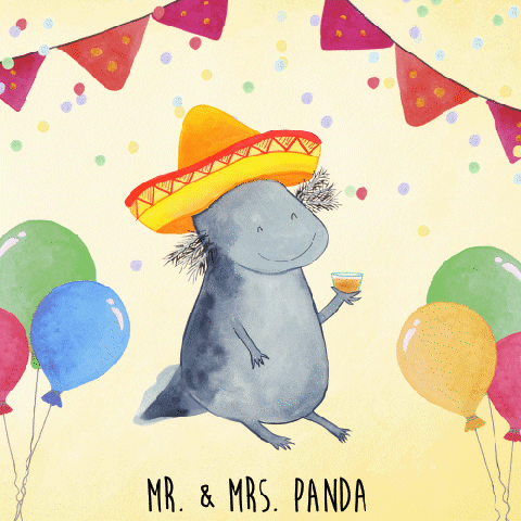 Party Sombrero GIF by Mr. & Mrs. Panda