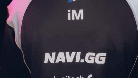 Esports Im GIF by BLAST