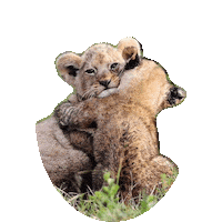 Best Friends Love Sticker by imoji