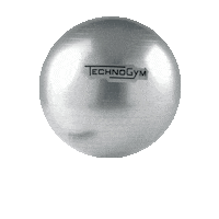 ball workout Sticker by Technogym