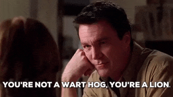 mean girls youre not a warthog GIF