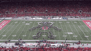 Happy Sesame Street GIF by tbdbitl