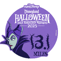 Disneyland Rundisney Sticker by Disney Sports