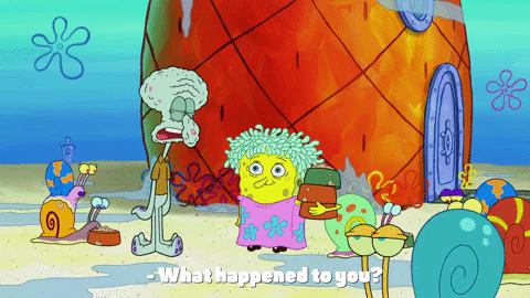 season 9 sanctuary GIF by SpongeBob SquarePants