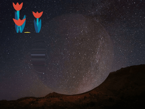 Germany Wow GIF by FranchiseCHECK.de