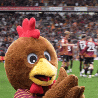 Football Goal GIF by Bradford City AFC