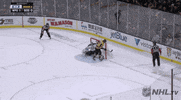 nhl sports sport hockey nhl GIF