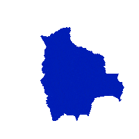 Mundial Sticker by Tigo Bolivia