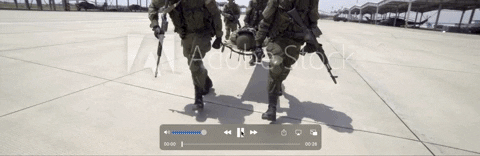 cactushugs giphygifmaker GIF