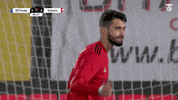 Sl Benfica Thank You GIF by Sport Lisboa e Benfica
