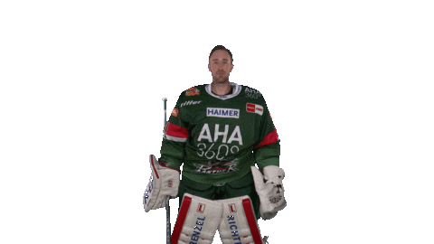 aevpanther giphyupload celebration hockey jubel Sticker