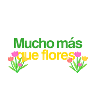 FloreriasUnidas flores alegria sonrisa arreglos Sticker