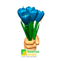 3D Love Sticker by Florerias Unidas