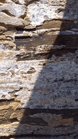 Simongip giphygifmaker GIF