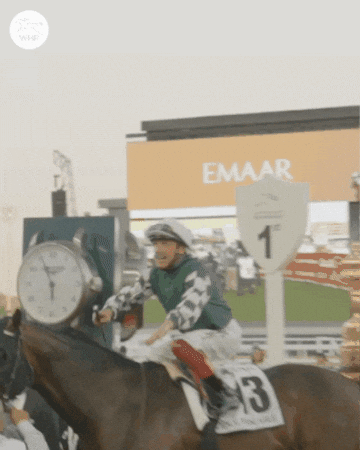 Celebrate Frankie Dettori GIF by World Horse Racing