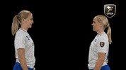 Floorball Salibandy GIF by F-liiga