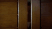 wong kar wai GIF