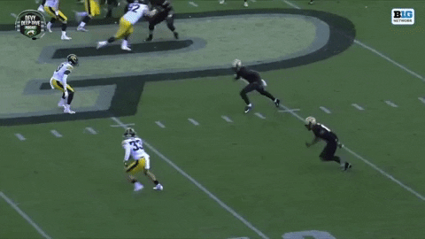 jaredsmola giphygifmaker GIF