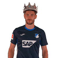 Andrej Kramaric Sport Sticker by TSG Hoffenheim