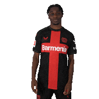 Bayer 04 Win Sticker by Bayer 04 Leverkusen