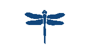 dragonfly Sticker by bartacolife