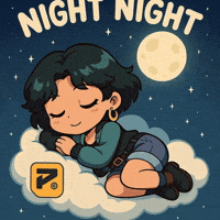 Good Night Sleeping GIF by Persona