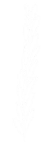 Leaf Decoration Sticker