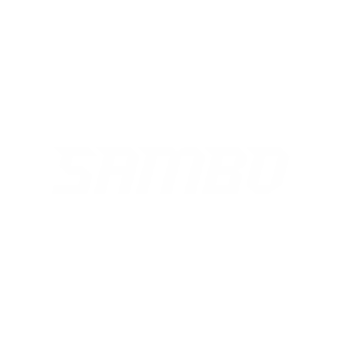 dynamicsports giphygifmaker mma martial arts sambo Sticker