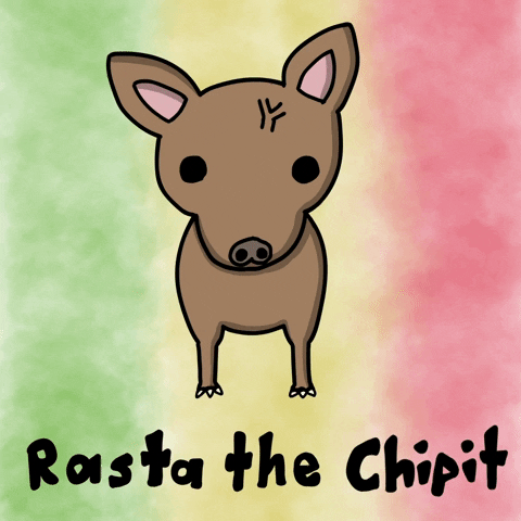 Animation Dog GIF by Tutimon
