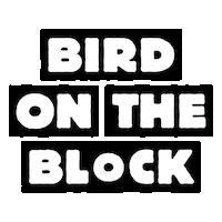 Birdrotterdam Sticker by BIRD