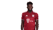 Bayern Munich Football Sticker by Bundesliga