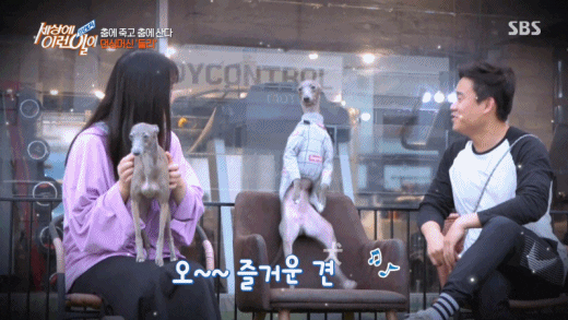 sophiasonge92b giphyupload GIF