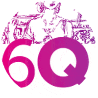 6Qar Sticker by Rosario Cultura