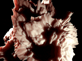 c4d GIF by Martin Onassis