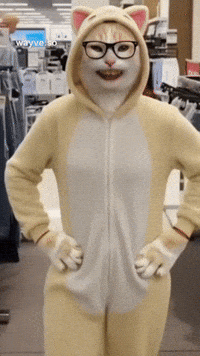 Cats Feels GIF by Darwin