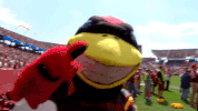 cyclonestv cy mugging camera GIF