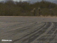moto GIF