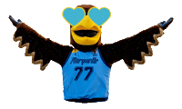 Golden Eagles College Sticker by Marquette  University