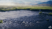 TheBroadmoor travel vacation luxury hotel GIF