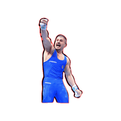 Fgi Sticker by Federazione Ginnastica d'Italia