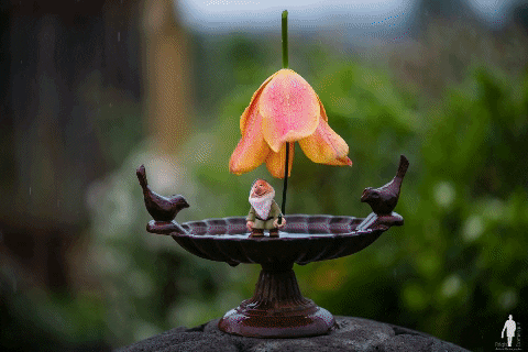 valiecevennes giphygifmaker GIF