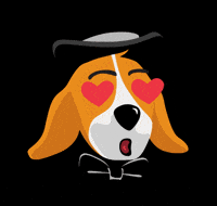 Dog Misterdog GIF by Mister Puss